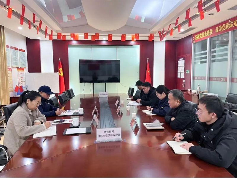 英国365集团挂职博士王心超向组织部汇报工作