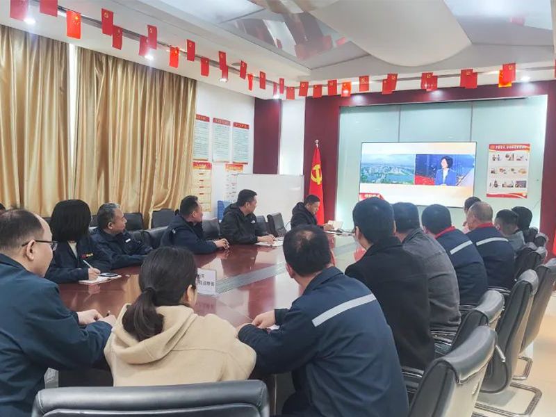 实干兴邦 久久为功｜英国365集团组织党员干部收听收看两 会闭幕式